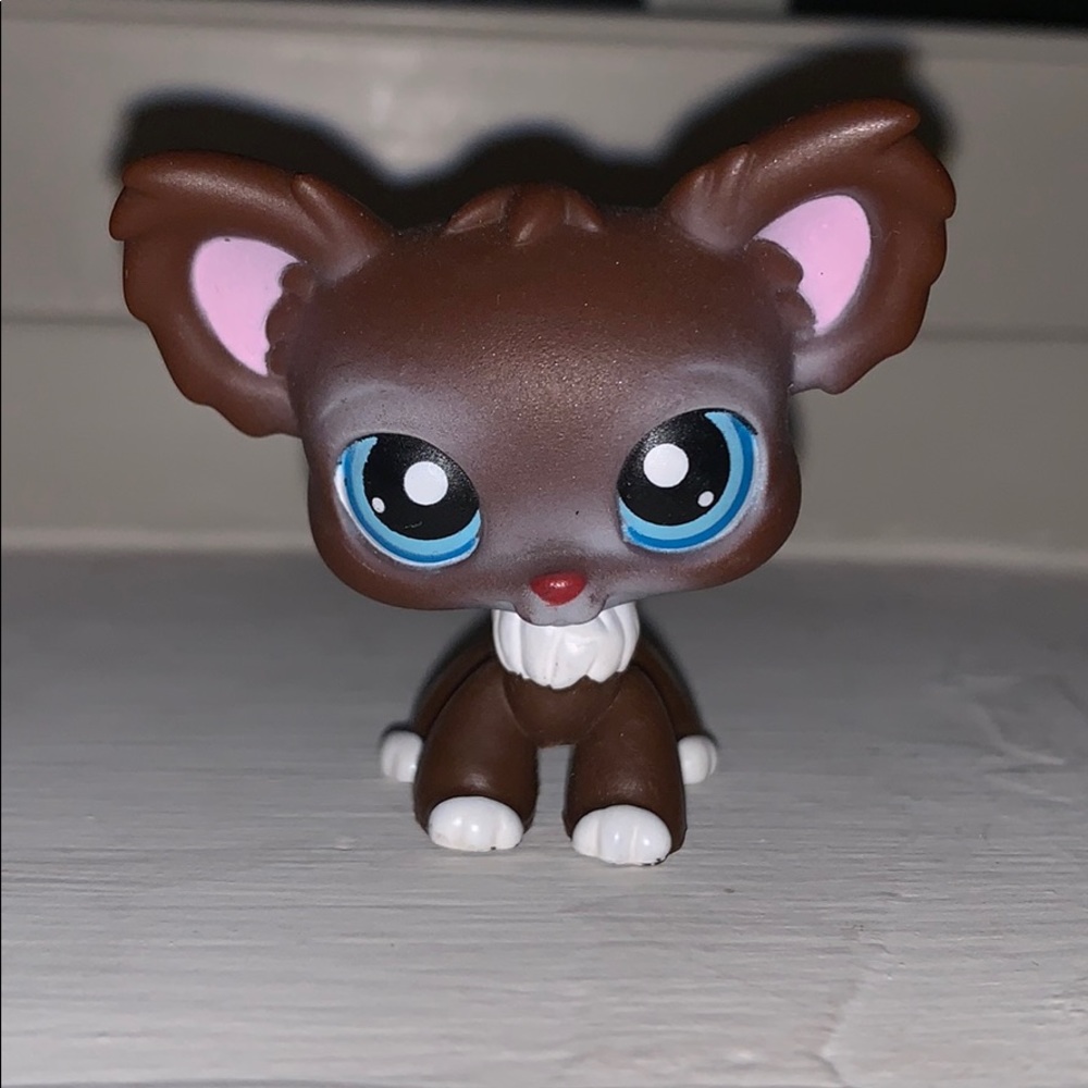 lps Chihuahua